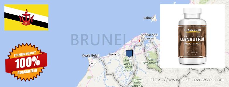 Onde Comprar Clenbuterol Steroids on-line Brunei
