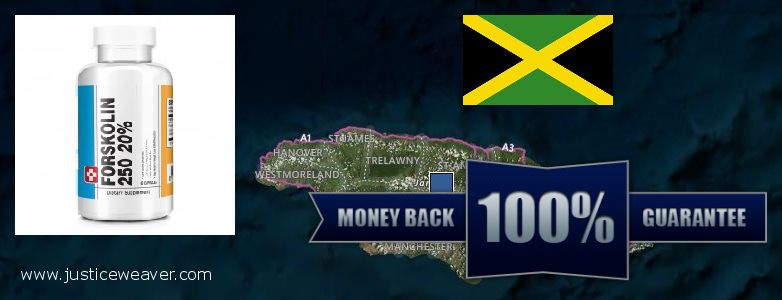 gdje kupiti Forskolin na vezi Jamaica