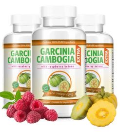 Where Can I Purchase Garcinia Cambogia Extract in Hvidovre