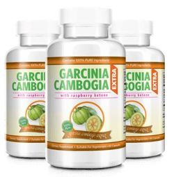 Where to Purchase Garcinia Cambogia Extract in Kuala Belait
